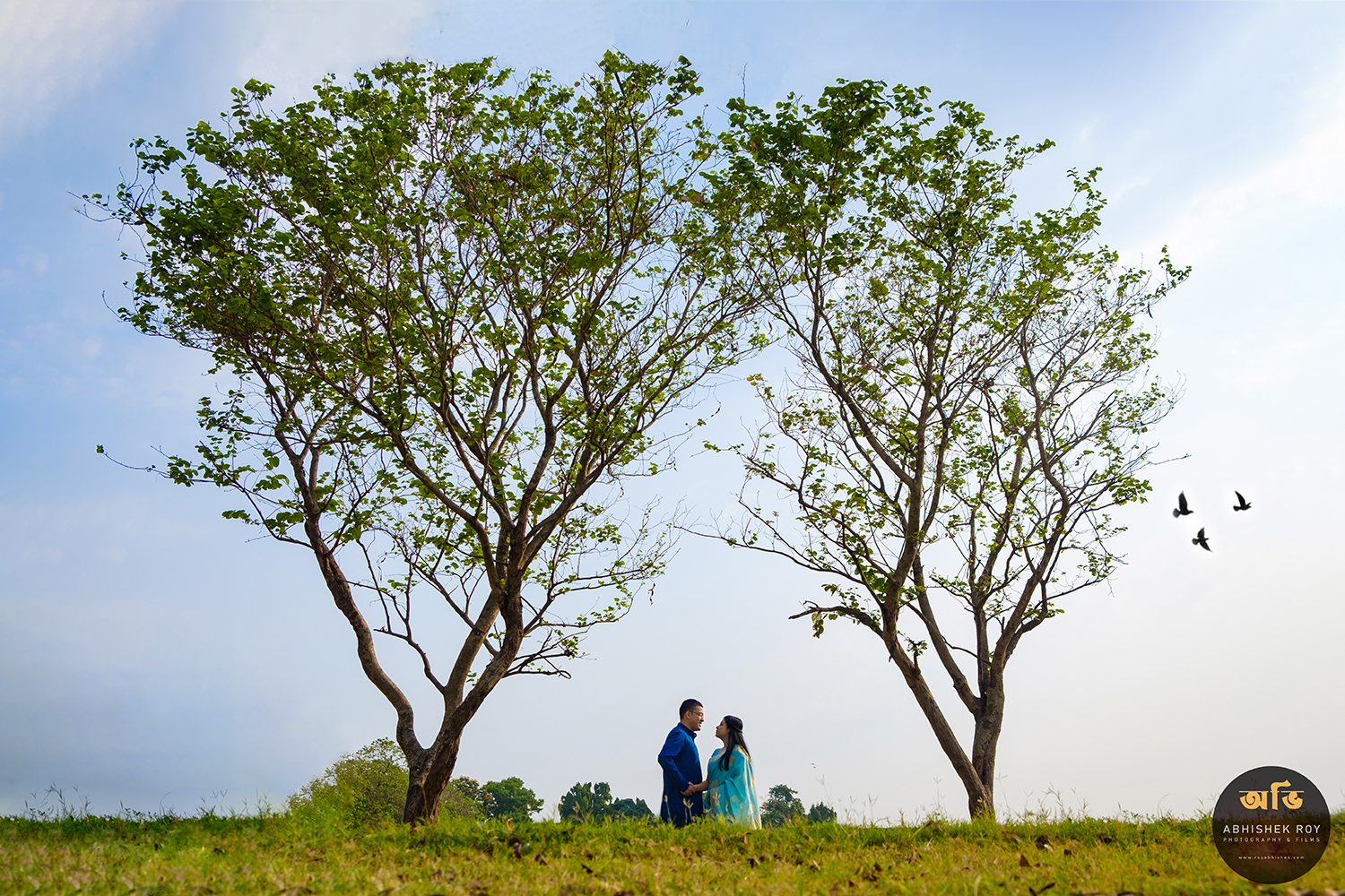 Abhishek Roy Photography