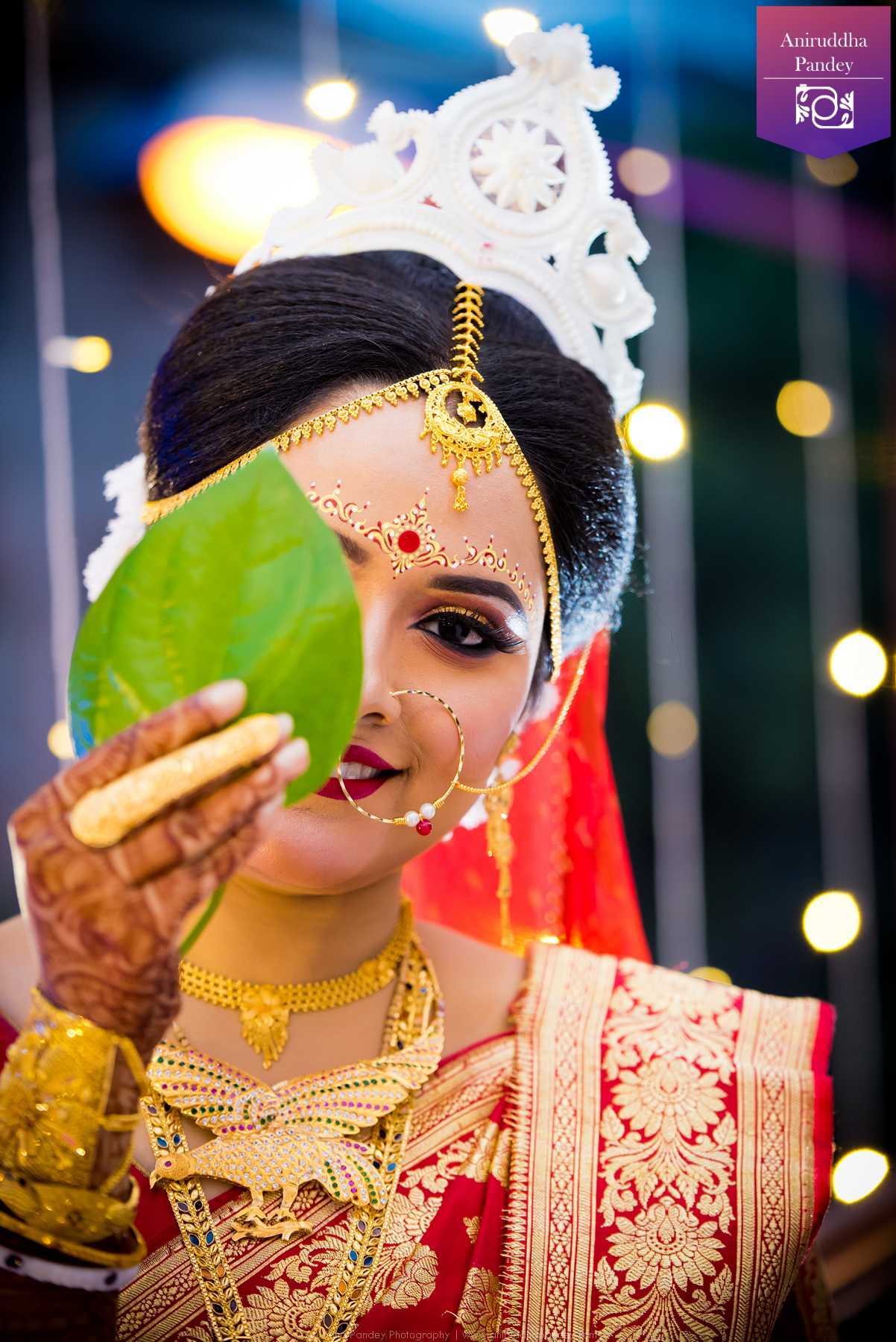 Aniruddha Pandey Photography image 62