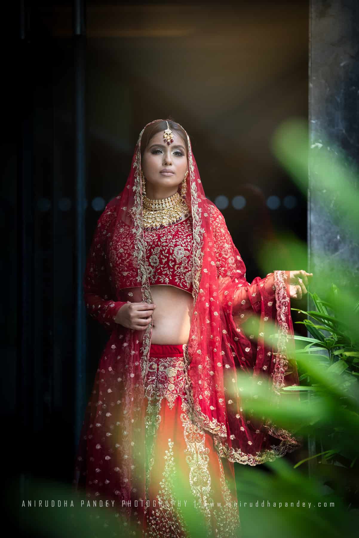 Aniruddha Pandey Photography image 81
