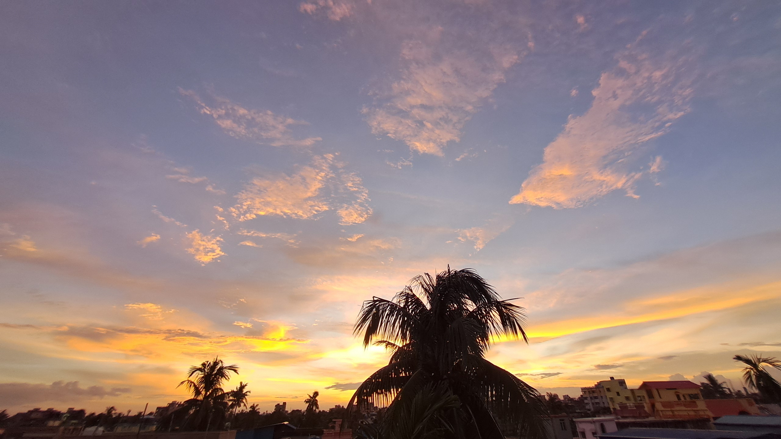 Avijit Polley Photography