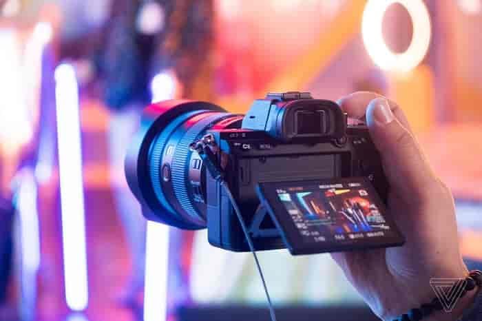 Backlight Photography image 77