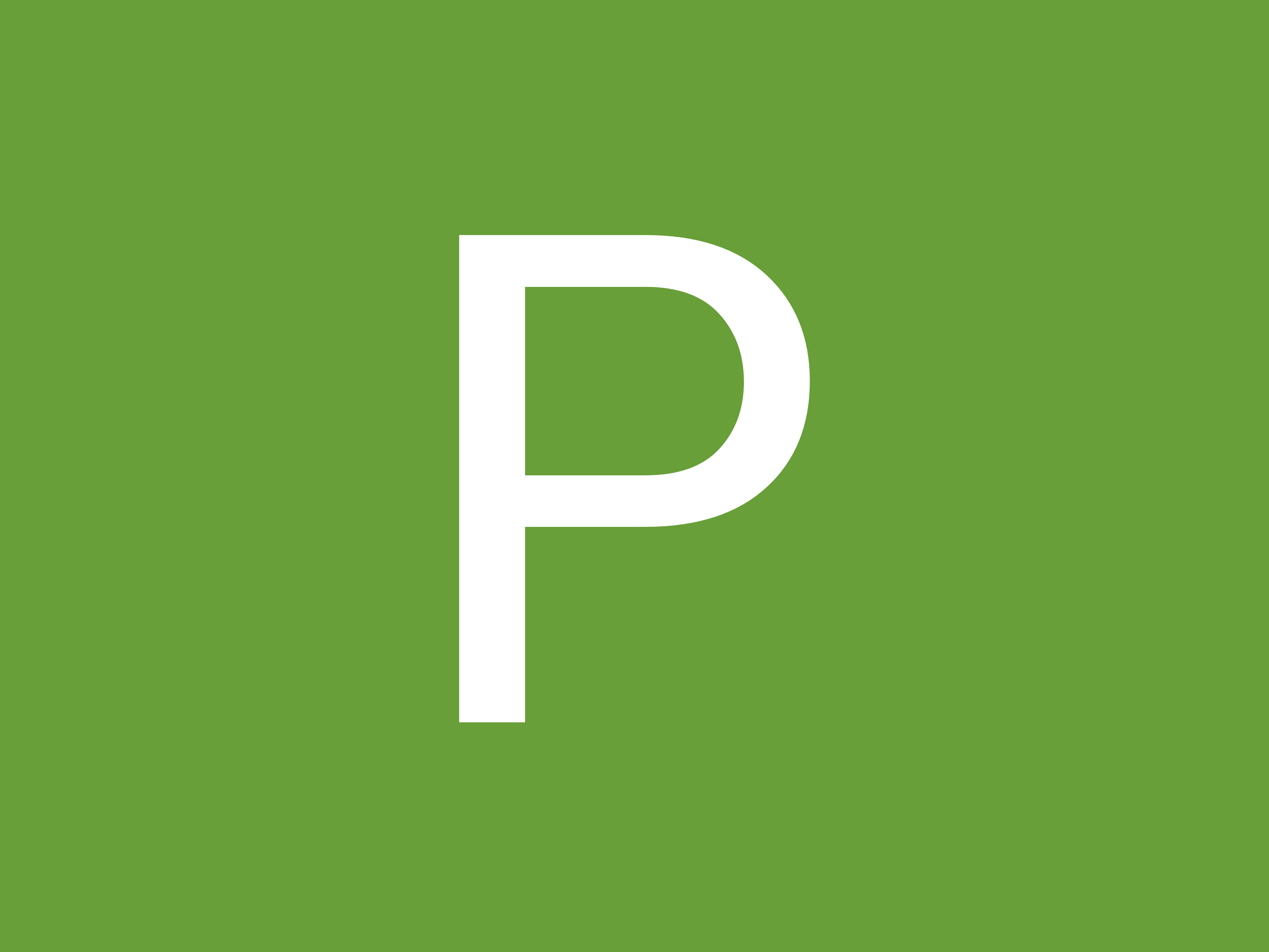 Palki image 3