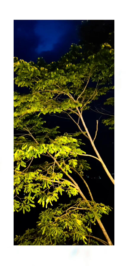 Shagun Events image 44