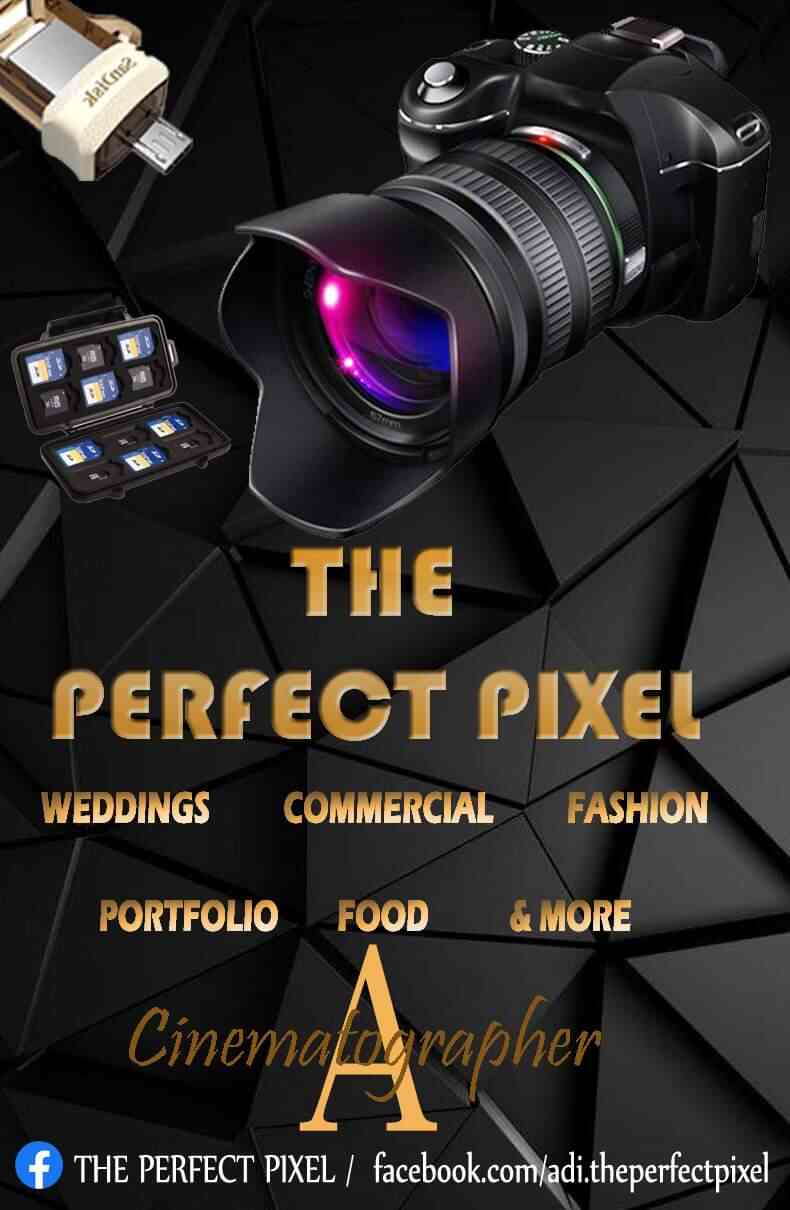 The Perfect Pixel image 3